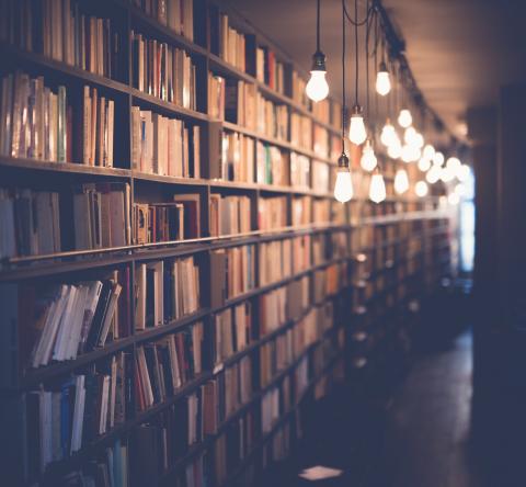 Library Shelves in Library